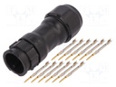 Connector: circular; male; plug; crimped; PIN: 12; 22AWG÷20AWG; IP68
