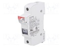 Fuse holder; cylindrical fuses; 10,3x38mm; Mounting: DIN; 32A