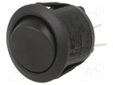 ROCKER; DPST; Pos: 2; OFF-ON; 10A/28VDC; black; none; Rcont max: 50mΩ