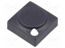 Button; rectangular; Application: 6425.4111,6425.4121,6425.4131