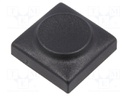 Button; rectangular; Application: 6425.0101,6425.1101; Mat: PA