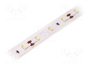 LED tape; white warm; LED/m: 60; SMD; 3014; 12V; 10mm; 120°; IP65