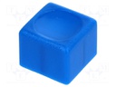 Button; rectangular; blue; Application: 1446.,1840.,1845.,1852.