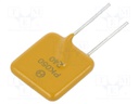 Fuse: PTC polymer; 500mA