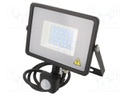 Lamp: LED flood light; 6400K; IP65; Body: black; 30W; 220/240VAC