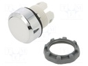 Switch: push-button; 22mm; white; Illumin: none; IP66; Pos: 2