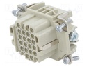 Connector: rectangular; female; EPIC H-DD; PIN: 108; 108+PE; 10A