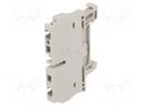 Splice terminal: rail; 4mm2; ways: 1; terminals: 2; beige; Width: 6mm