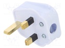 Connector: AC supply; plug; Layout: 2P+PE; white; 250VAC; 5A; PIN: 3