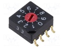 Encoding switch; Pos: 10; SMD; 100mΩ; DC load @R: 0.03A/15VDC