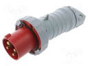 Connector: AC supply 3-phase; plug; male; straight; for cable