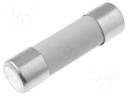 Fuse: fuse; medium time-lag; 2A; 250VAC; ceramic,cylindrical