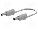 Test leads; 19A; 4mm banana plug-4mm banana plug; Urated: 1000V