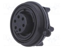 Connector: circular; socket; female; PIN: 6; Buccaneer Standard