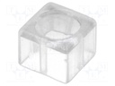Button; rectangular; transparent