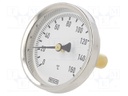 Meter: bimetal thermometer; 0÷160°C; Probe l: 40mm; Ø: 63mm