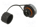 Coupler; Cat: 6a; shielded,with protective cap; Layout: 8p8c