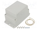Enclosure: multipurpose; X: 85mm; Y: 125mm; Z: 85mm; Ritec; IP65