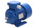 Motor: AC; 3-phase; 0.37kW; 230/400VAC; 1400rpm; 6.4kg; IP54