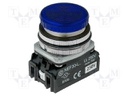 Control lamp; 30mm; NEF30; -15÷30°C; Illumin: LED,filament lamp