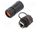 Socket; coupler; Cat: 6a; shielded; Layout: 8p8c; RJ45 socket x2