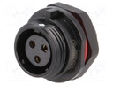 Socket; female; SP13; PIN: 3; IP68; 13A; soldering; 250V; 2mm2