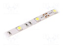 LED tape; white cold; LED/m: 30; SMD; 5050; 12V; W: 14.36mm; 120°