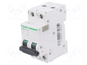 Circuit breaker; 500VDC; Inom: 50A; Poles: 2; DIN; Charact: C; 20kA