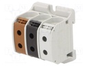 Splice terminal: rail; STB; 50mm2; ways: 3; terminals: 6; TS35; 1kV