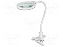 Desktop magnifier with backlight; 3dpt; Ø100mm; 6W; Plug: EU