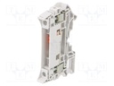 Splice terminal: rail; SNK; 0.5÷10mm2; ways: 1; terminals: 2; grey