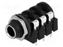 Socket; Jack 6,35mm; female; stereo; with double switch; THT
