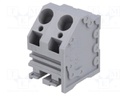 PCB terminal block; angled; 10mm; ways: 2; on PCBs; 0.2÷6mm2; 30A