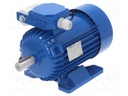 Motor: AC; 1-phase; 1.1kW; 230VAC; 1370rpm; 11.4kg; IP54; -15÷40°C