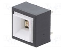 Switch: push-button; Pos: 2; DPDT; 5A/250VAC; 5A/30VDC; ON-(ON)