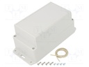 Enclosure: multipurpose; X: 85mm; Y: 165mm; Z: 40mm; Ritec; IP65