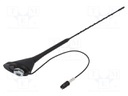 Antenna; 0.4m; Alfa Romeo,Fiat; 0.3m; Rod inclination: constant