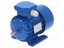 Motor: AC; 3-phase; 0.25kW; 230/400VAC; 1390rpm; 5.5kg; IP54