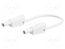 Test leads; 32A; 4mm banana plug-4mm banana plug; Urated: 1000V
