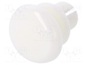 Rivet; polyamide; L.rivet: 6mm; Panel cutout diam: 6.1mm; UL94HB