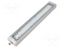 LED lamp; cool white; 1300lm; 6500K; -40÷60°C; 24VDC; IP66; PIN: 4