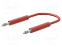 Test lead; 60VDC; 30VAC; 19A; banana plug 4mm,both sides; Len: 2m