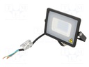 Lamp: LED flood light; 6400K; IP65; Body: black; 20W; 220/240VAC