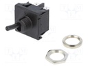 Switch: toggle; Pos: 2; DPST; ON-OFF; 6A/250VAC; -20÷55°C