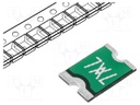 Fuse: PTC polymer; 750mA