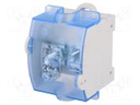Splice terminal: rail; ways: 1; terminals: 5; grey; screw terminal