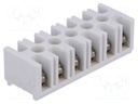 Terminal block; screw terminal; ways: 6; 4mm2; terminals: 12; 500V