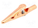 Crocodile clip; 10A; 70VDC; max.8mm; Connection: screw terminal