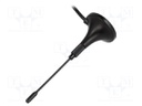 Antenna; GSM; 1dBi; linear; Mounting: magnet; 50Ω; male,SMA; Len: 3m