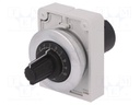 Potentiometer; 30mm; RMQ-Titan; -25÷70°C; Ø30.5mm; IP66; 10kΩ